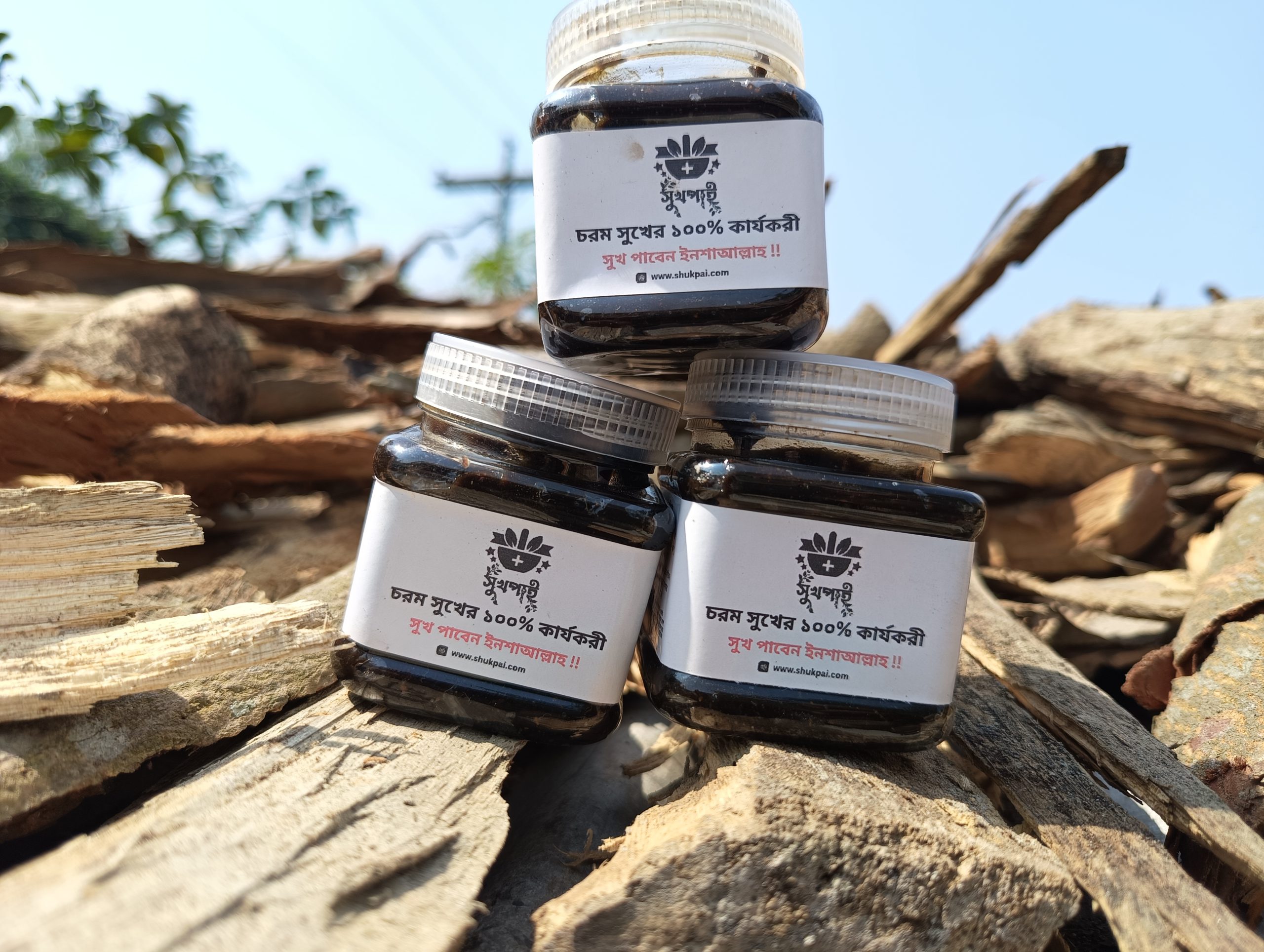 ফুল অ্যান্ড ফাইনাল কোর্সঃ - Image 3